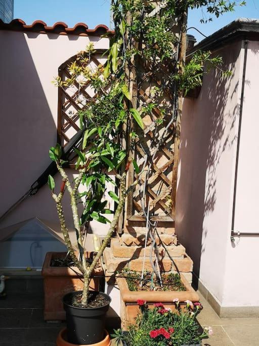 Centrale-luxury With Garden Terrace Apartment Milan