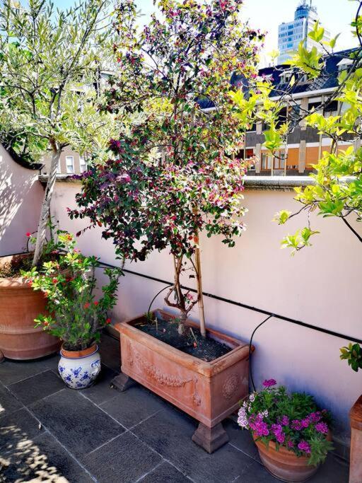 Apartment Centrale-luxury With Garden Terrace Milan