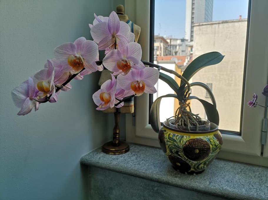 Apartment Centrale-luxury With Garden Terrace *