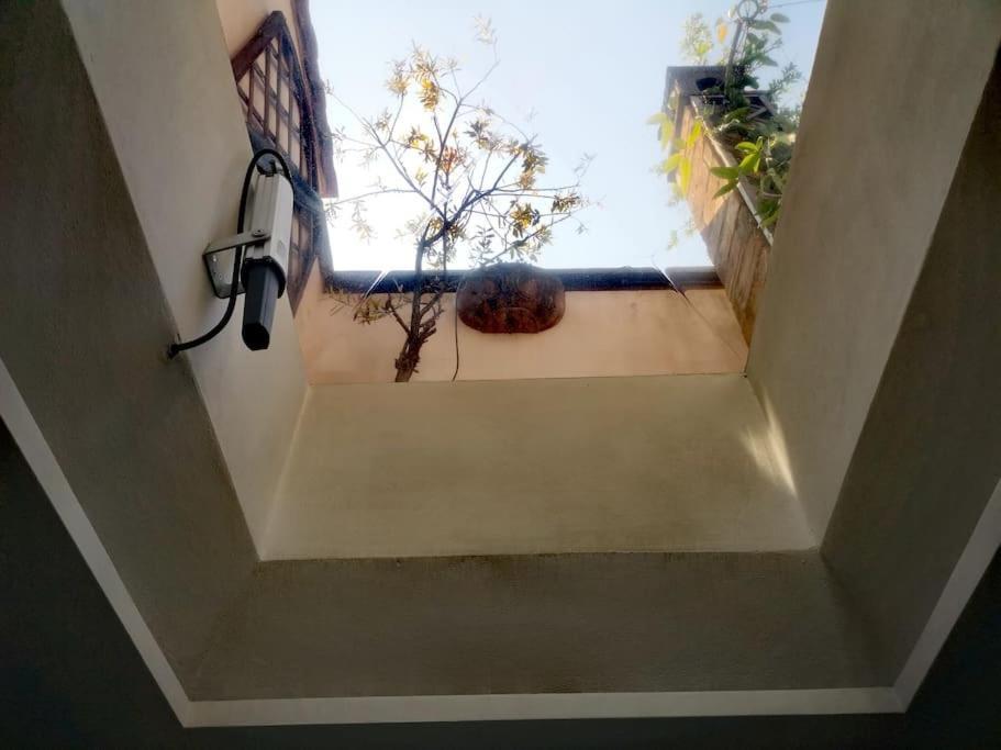 Centrale-luxury With Garden Terrace Apartment *