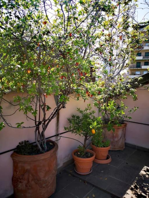 Centrale-luxury With Garden Terrace Milan